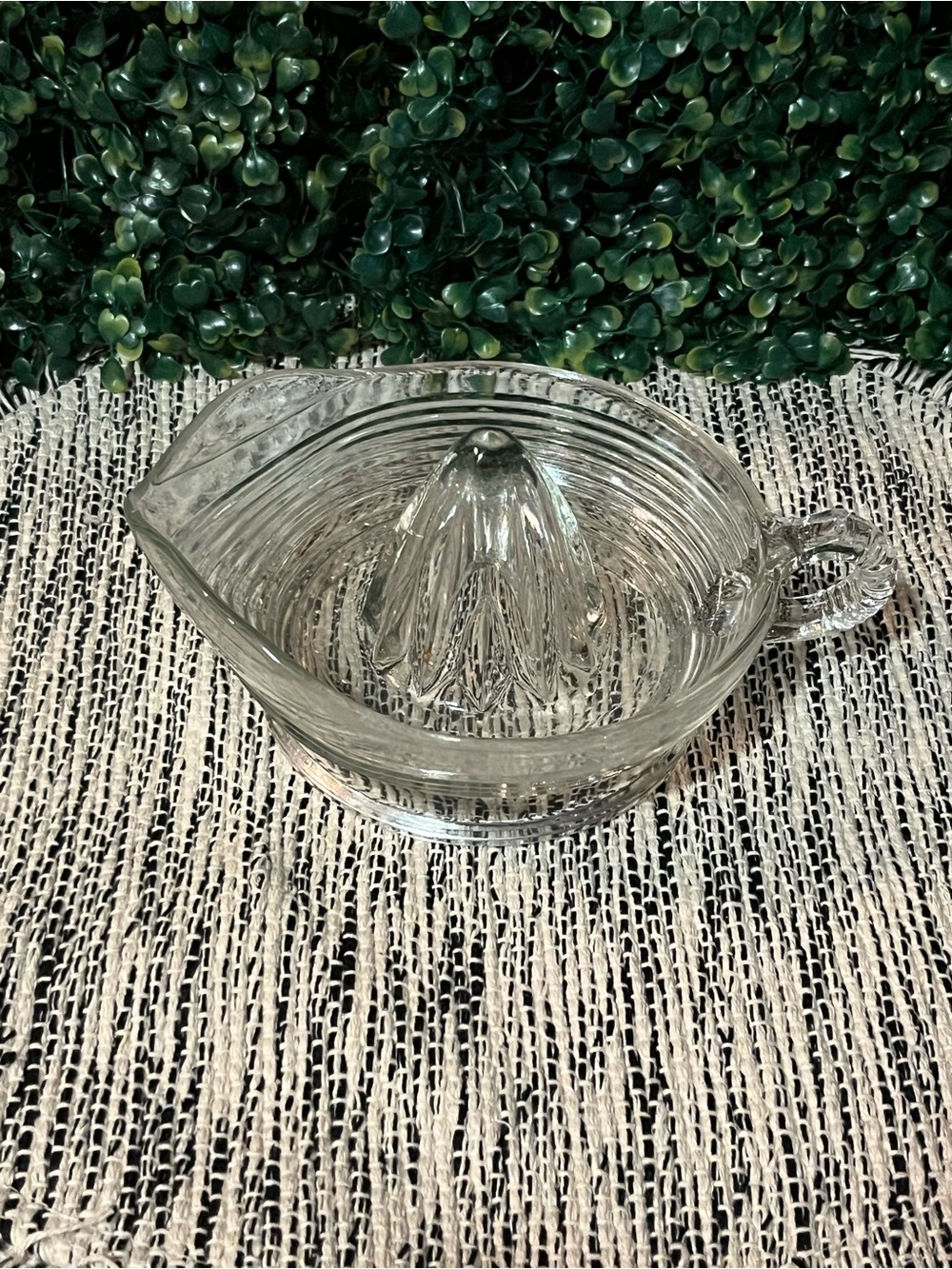 Clear Glass Citrus Juicer Reamer